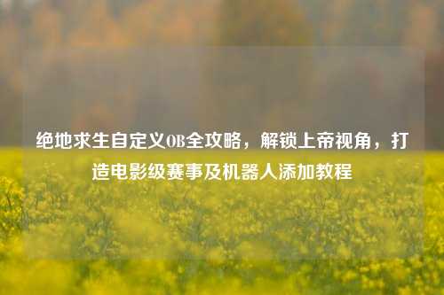 绝地求生自定义OB全攻略,解锁上帝视角,打造电影级赛事及机器人添加教程