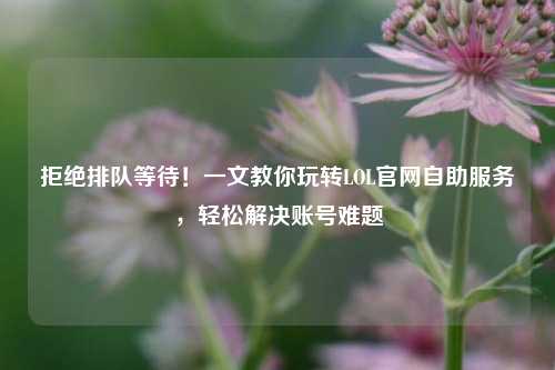 拒绝排队等待!一文教你玩转LOL官网自助服务,轻松解决账号难题