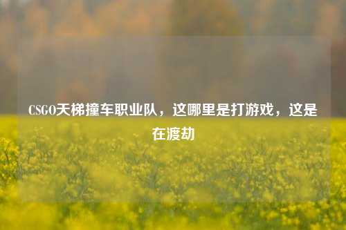 CSGO天梯撞车职业队,这哪里是打游戏,这是在渡劫