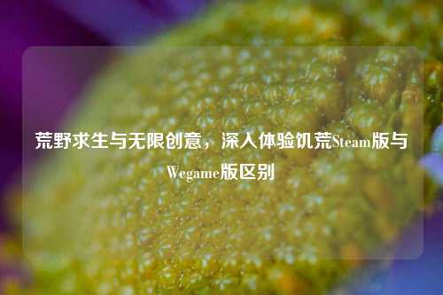荒野求生与无限创意,深入体验饥荒Steam版与Wegame版区别