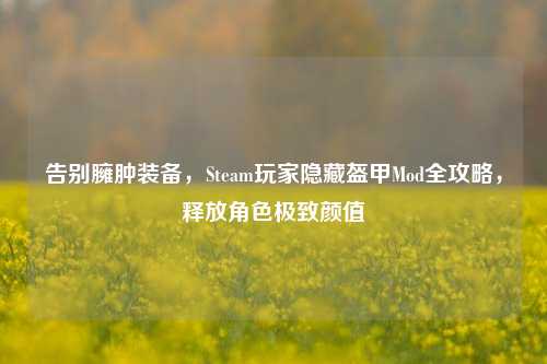 告别臃肿装备,Steam玩家隐藏盔甲Mod全攻略,释放角色极致颜值