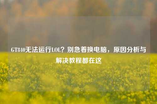 GT840无法运行LOL?别急着换电脑,原因分析与解决教程都在这