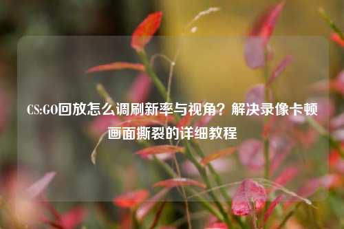 CS:GO回放怎么调刷新率与视角?解决录像卡顿画面撕裂的详细教程