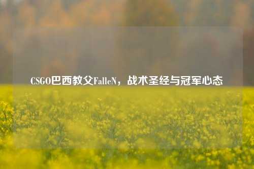 CSGO巴西教父FalleN,战术圣经与冠军心态