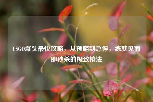 CSGO爆头最快攻略,从预瞄到急停,练就见面即秒杀的极致枪法