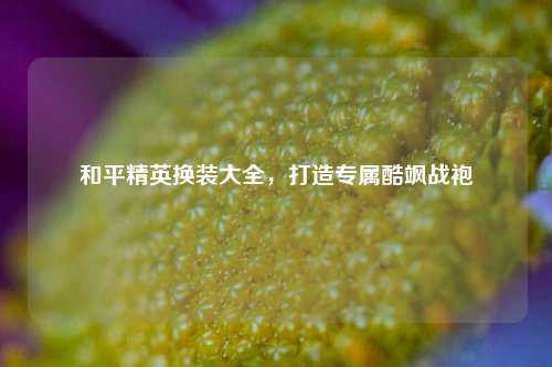 和平精英换装大全,打造专属酷飒战袍