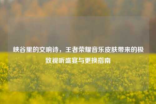 峡谷里的交响诗,王者荣耀音乐皮肤带来的极致视听盛宴与更换指南