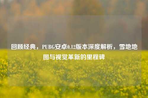 回顾经典,PUBG安卓0.12版本深度解析,雪地地图与视觉革新的里程碑