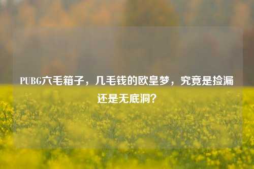 PUBG六毛箱子,几毛钱的欧皇梦,究竟是捡漏还是无底洞?