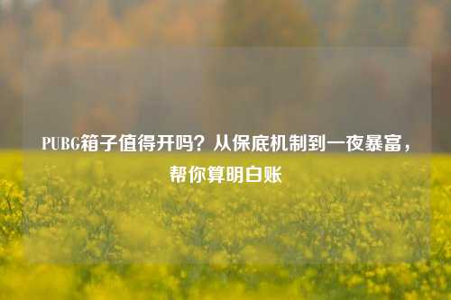 PUBG箱子值得开吗?从保底机制到一夜暴富,帮你算明白账