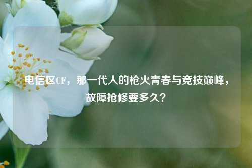 电信区CF,那一代人的枪火青春与竞技巅峰,故障抢修要多久?
