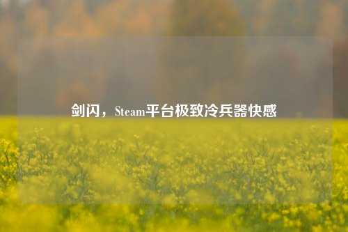 剑闪,Steam平台极致冷兵器快感