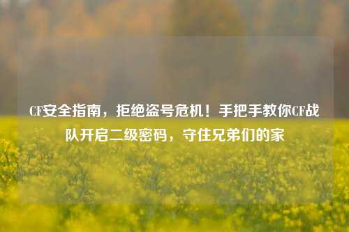 CF安全指南,拒绝盗号危机!手把手教你CF战队开启二级密码,守住兄弟们的家