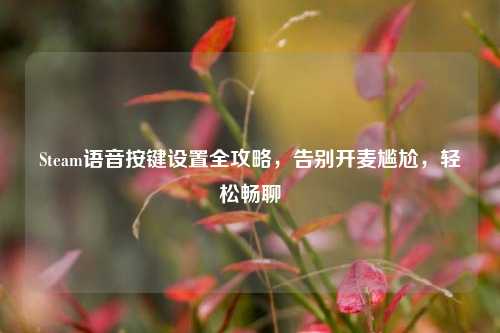 Steam语音按键设置全攻略,告别开麦尴尬,轻松畅聊
