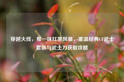 穿越火线,那一抹红黑风暴,重温经典CF武士套装与武士刀获取攻略