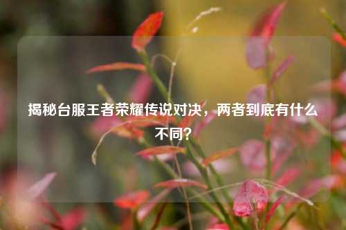 揭秘台服王者荣耀传说对决,两者到底有什么不同?