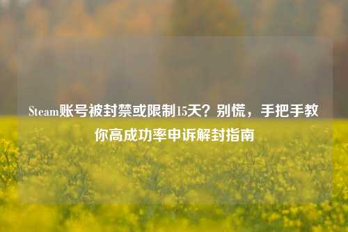 Steam账号被封禁或限制15天?别慌,手把手教你高成功率申诉解封指南