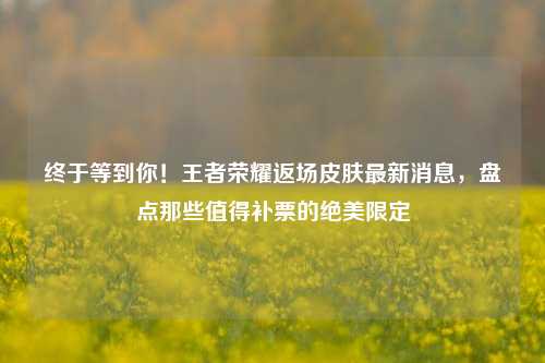 终于等到你!王者荣耀返场皮肤最新消息,盘点那些值得补票的绝美限定