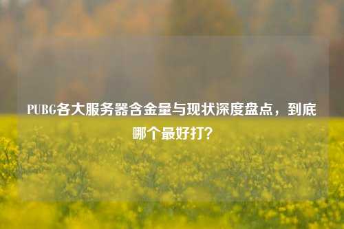 PUBG各大服务器含金量与现状深度盘点,到底哪个最好打?