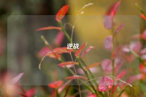 逆战