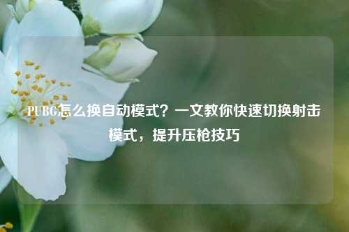 PUBG怎么换自动模式?一文教你快速切换射击模式,提升压枪技巧