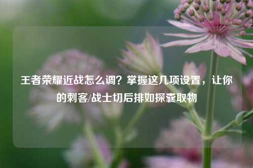 王者荣耀近战怎么调?掌握这几项设置,让你的刺客/战士切后排如探囊取物