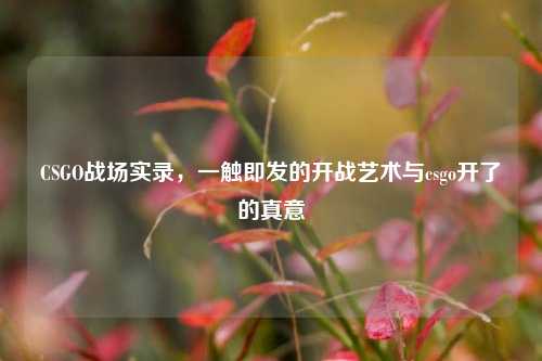 CSGO战场实录,一触即发的开战艺术与csgo开了的真意