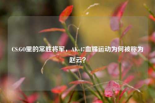 CS:GO里的常胜将军,AK-47血腥运动为何被称为赵云?