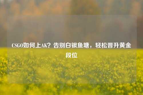 CSGO如何上AK?告别白银鱼塘,轻松晋升黄金段位