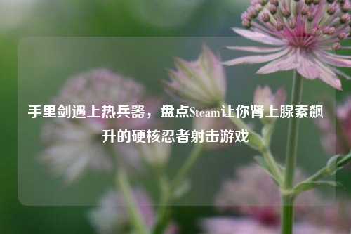 手里剑遇上热兵器,盘点Steam让你肾上腺素飙升的硬核忍者射击游戏