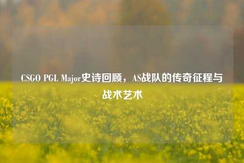 CSGO PGL Major史诗回顾,AS战队的传奇征程与战术艺术