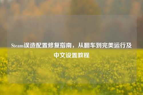Steam误造配置修复指南,从翻车到完美运行及中文设置教程