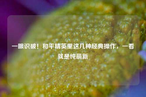 一眼识破!和平精英里这几种经典操作,一看就是纯萌新
