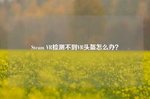 Steam VR检测不到VR头盔怎么办?