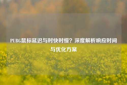 PUBG鼠标延迟与时快时慢?深度解析响应时间与优化方案