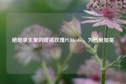 绝地求生里的铿锵玫瑰PUBG.she,为热爱加冕