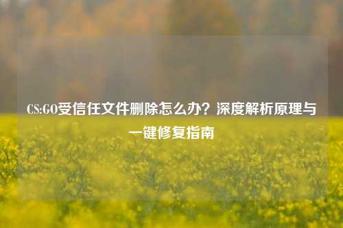 CS:GO受信任文件删除怎么办?深度解析原理与一键修复指南