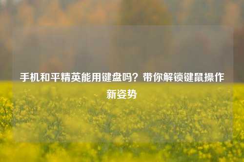 手机和平精英能用键盘吗?带你解锁键鼠操作新姿势