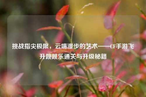 挑战指尖极限,云端漫步的艺术——CF手游飞升跳跳乐通关与升级秘籍