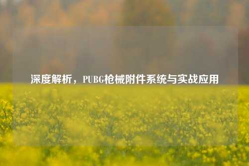 深度解析,PUBG枪械附件系统与实战应用