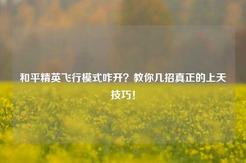 和平精英飞行模式咋开?教你几招真正的上天技巧!