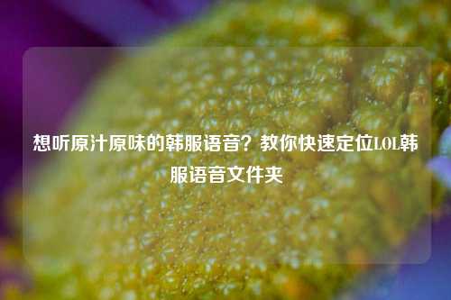 想听原汁原味的韩服语音?教你快速定位LOL韩服语音文件夹