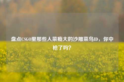盘点CSGO里那些人菜瘾大的沙雕菜鸟ID,你中枪了吗?