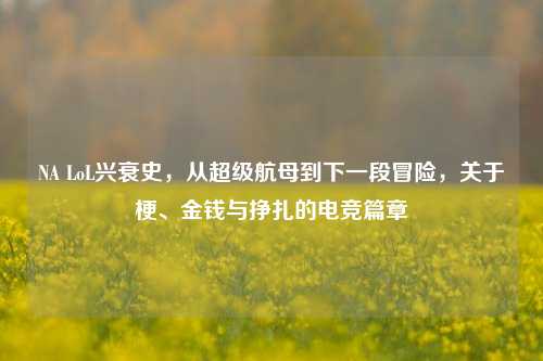NA LoL兴衰史,从超级航母到下一段冒险,关于梗、金钱与挣扎的电竞篇章