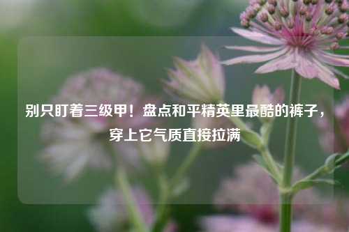 别只盯着三级甲!盘点和平精英里最酷的裤子,穿上它气质直接拉满