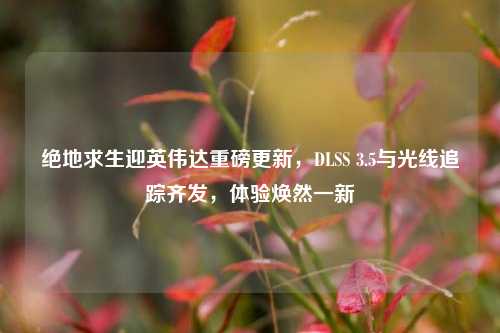 绝地求生迎英伟达重磅更新,DLSS 3.5与光线追踪齐发,体验焕然一新