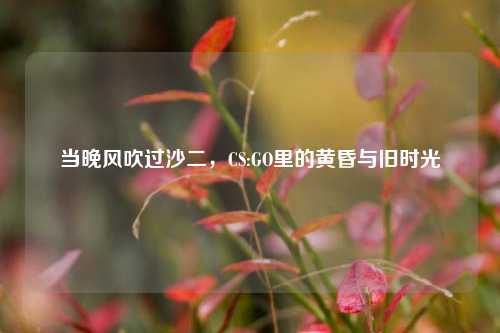 当晚风吹过沙二,CS:GO里的黄昏与旧时光